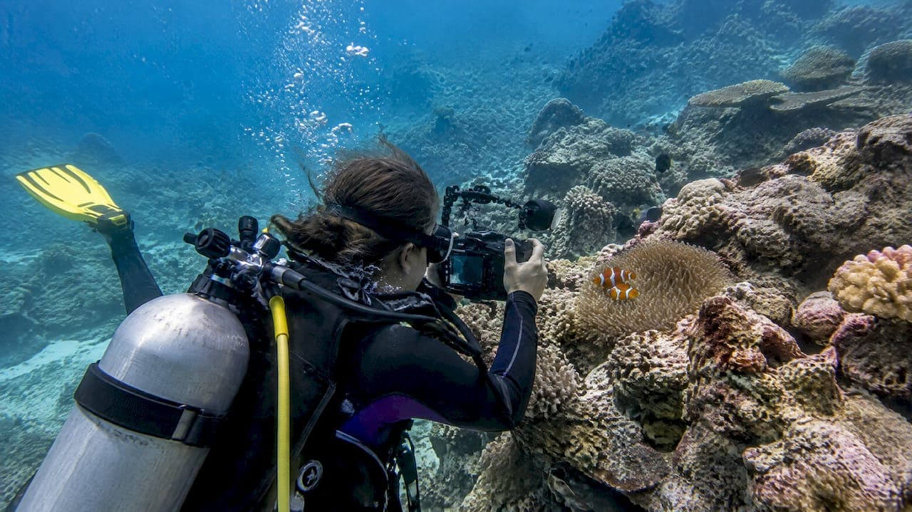 Shoot Legal Great Barrier Reef Photos: GBRMPA Rules, Tech, and Timing